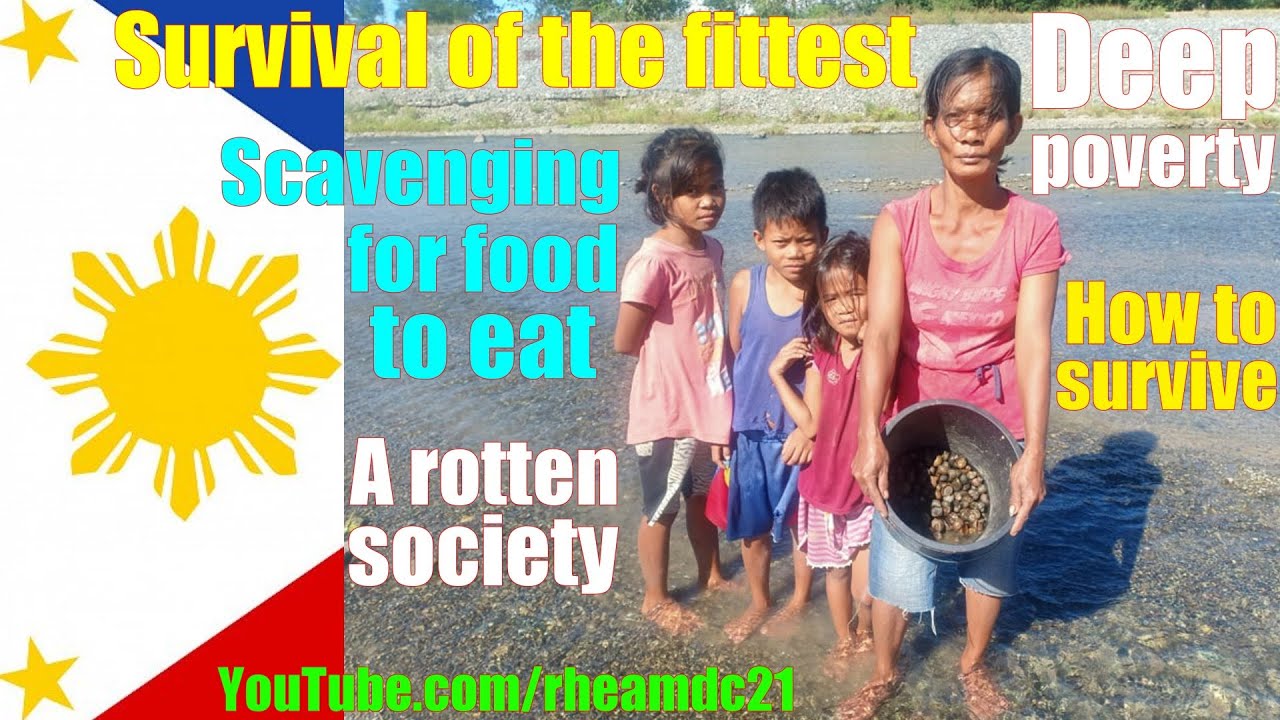 How is Life in the Philippines Nowadays? The Philippine Society. Life of Filipinos in Deep Poverty.