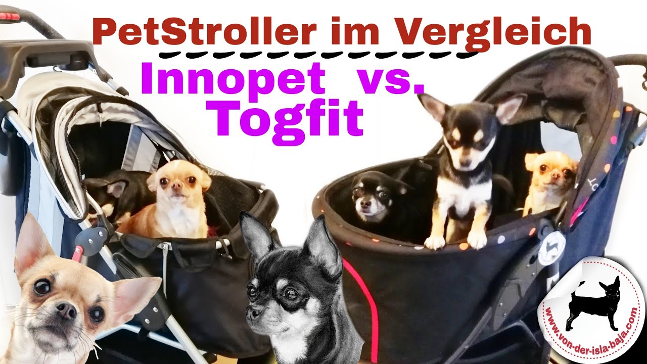 TOGfit vs. Innopet Hundebuggy