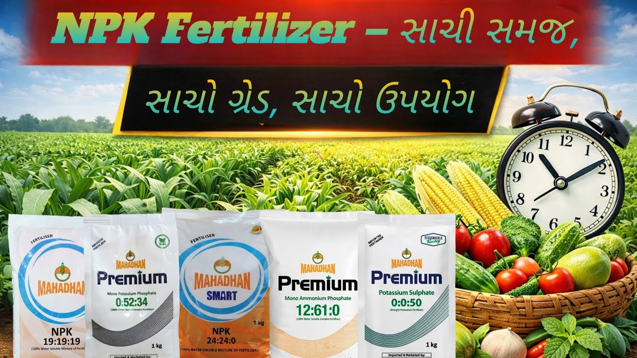 NPK Water Soluble Fertilizer – સાચી સમજ, સાચો ગ્રેડ, સાચો ઉપયોગ