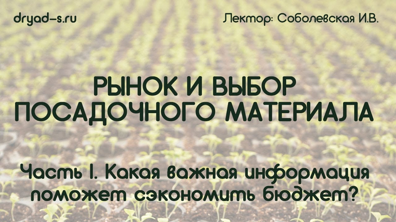 Экономим бюджет при выборе посадочного материала | Вебинар 16.11 от студии «ДриадаС»
