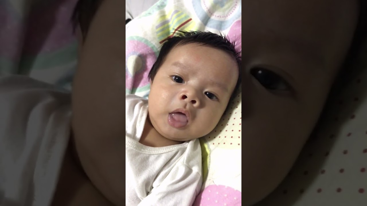 Manuel Vids Dec 2017 