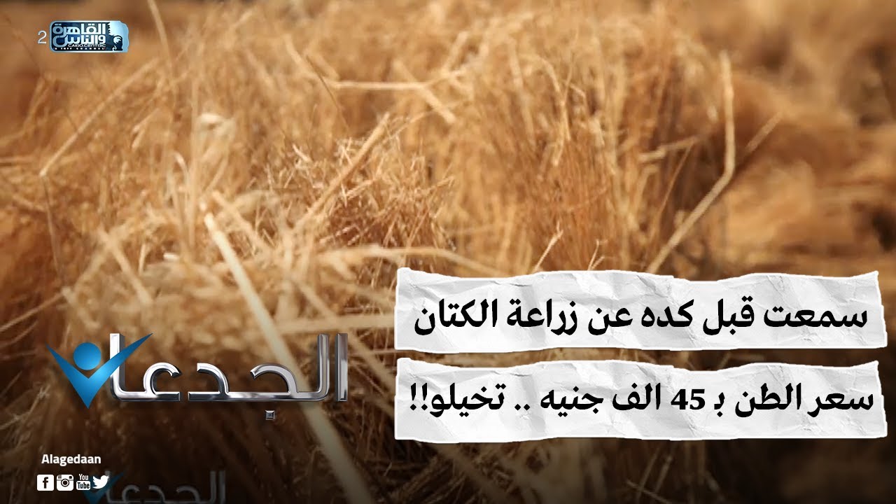 سمعت قبل كده عن زراعة الكتان .. سعر الطن بـ ٤٥ الف جنيه .. تخيلو!!