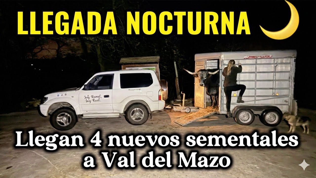 &iexcl;LLEGADA NOCTURNA! 🌙 Traemos 4 nuevos sementales a Val Del Mazo