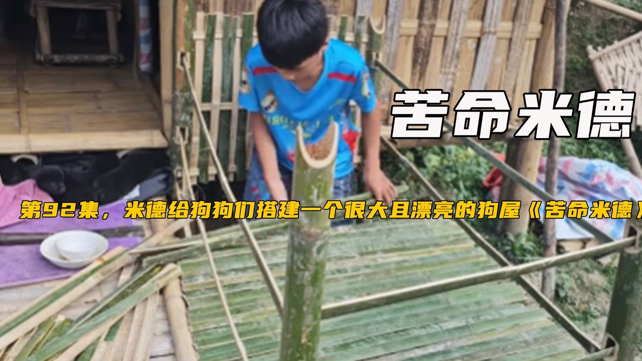 第92集，米德給狗狗們搭建壹個很大且漂亮的狗屋《苦命米德》