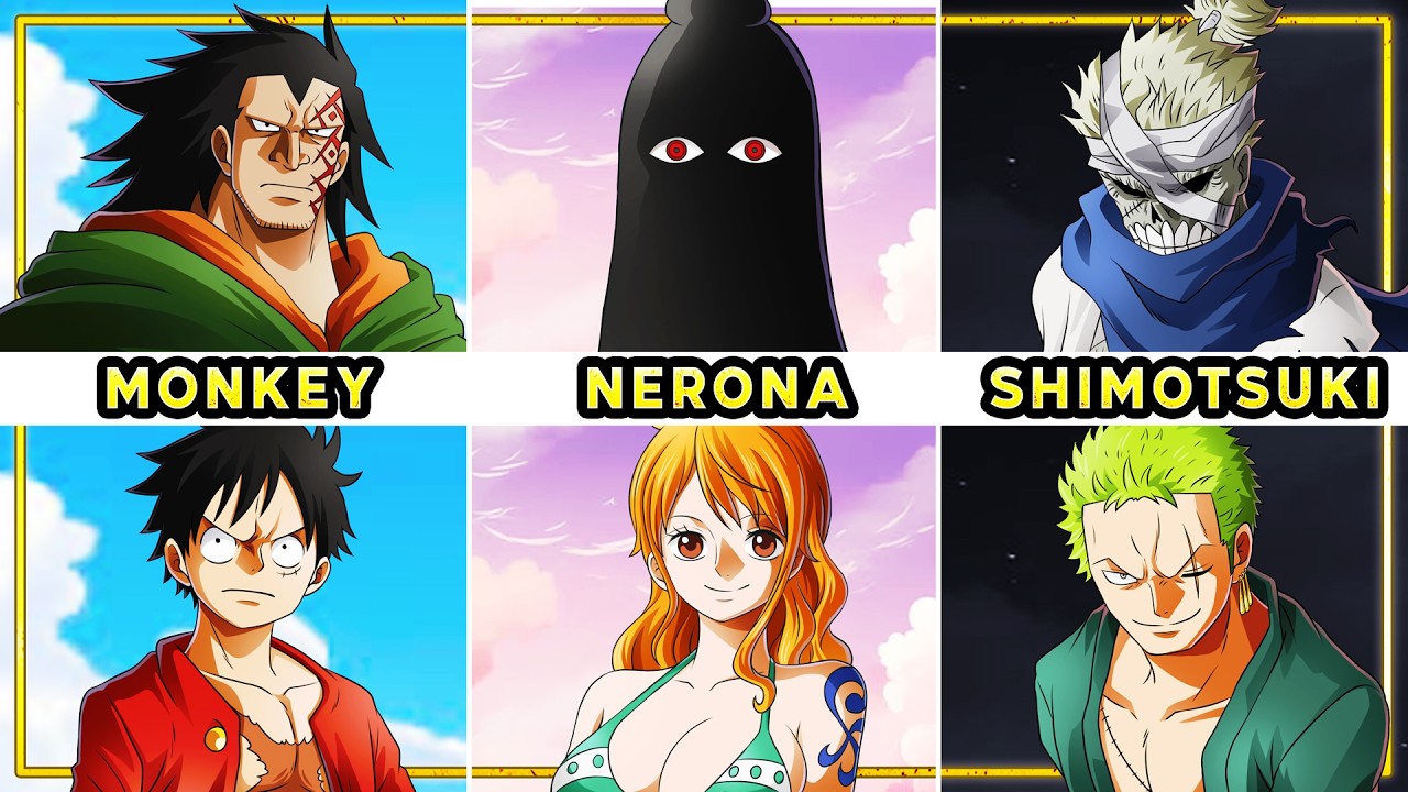 Does Every Straw Hat Have SPECIAL Lineage?