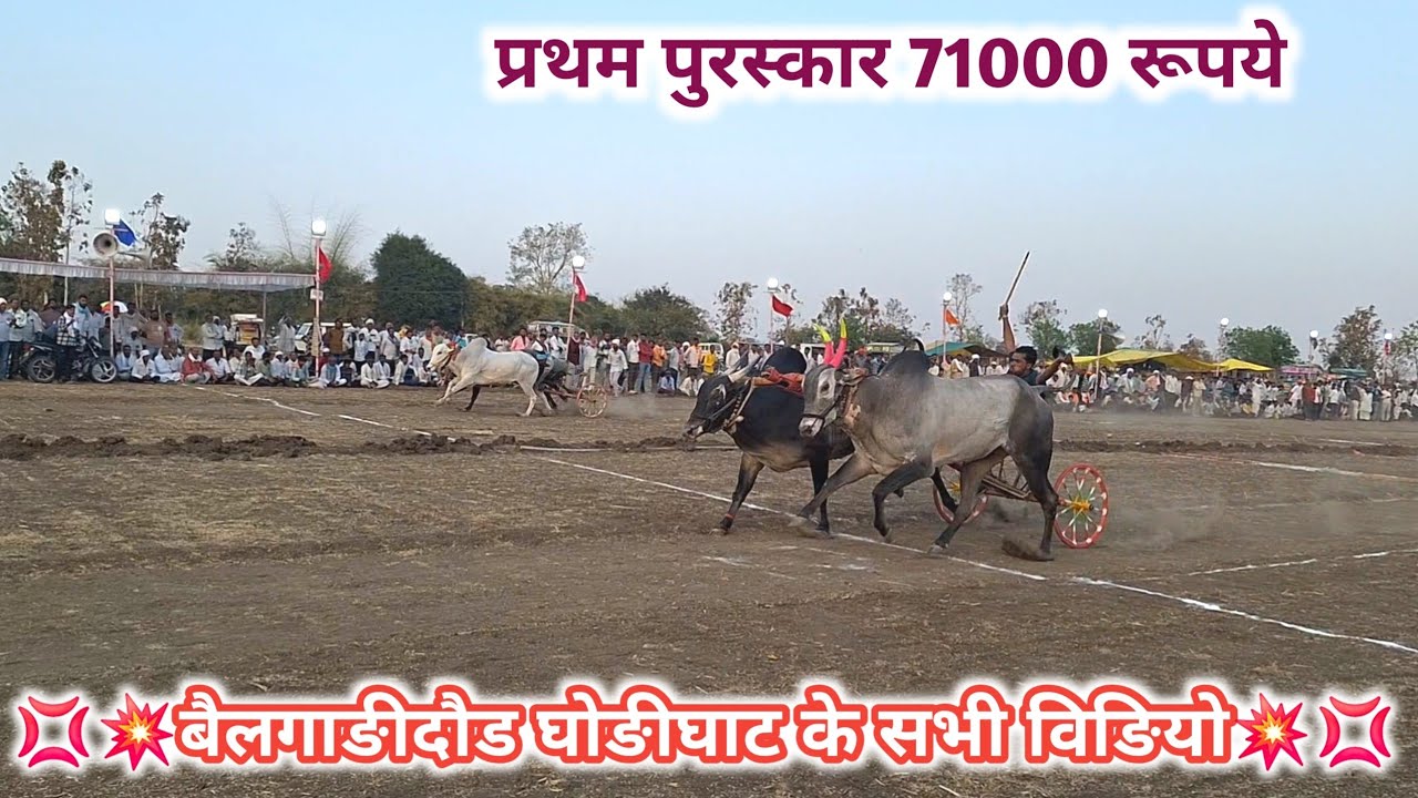 एतिहासिक बैलगाङीदौड घोङीघाट के सभी विङियो।💥रोमांचक रेस। सभी बैलजोङी।#bailgadasharyat 