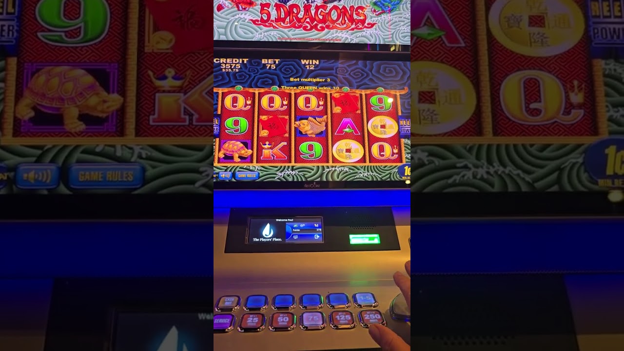 5 Dragon Fun