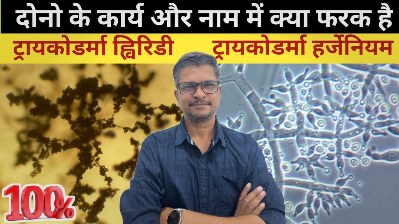 ट्रायकोडर्मा के दो रूप कौन किस काम का । Trichoderma