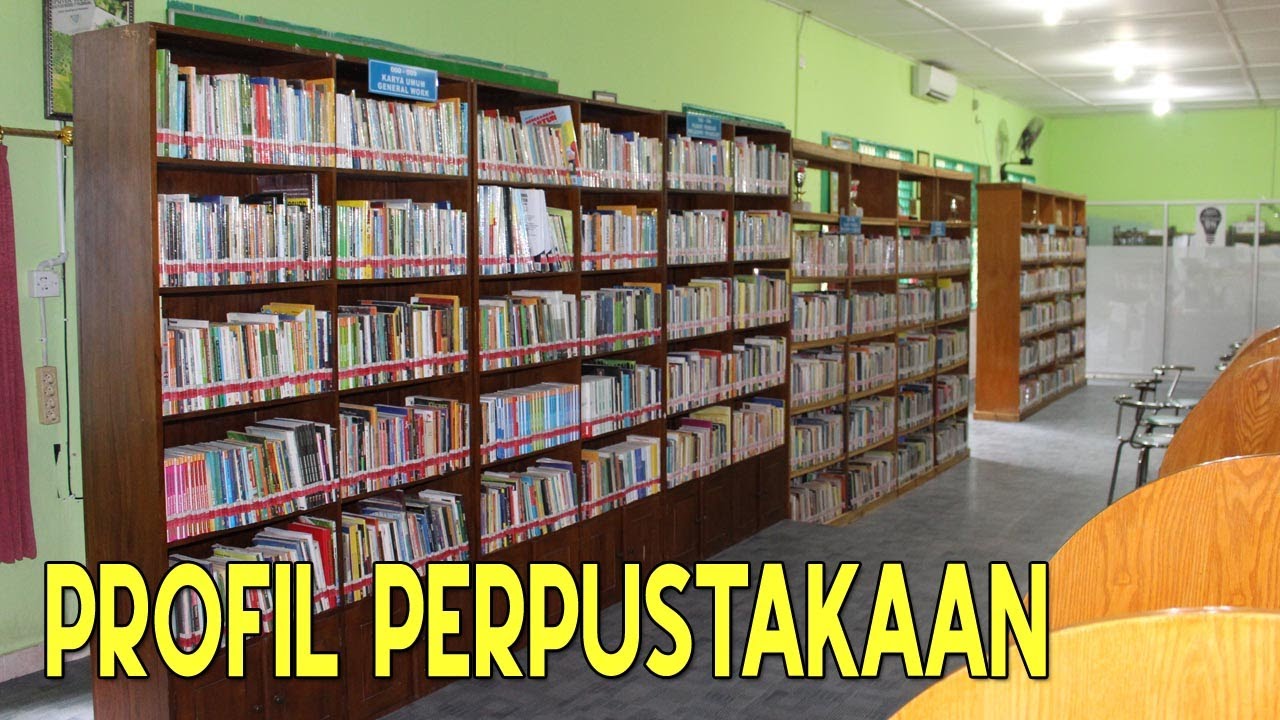 Profil Perpustakaan SMA Plus Negeri 17 Palembang