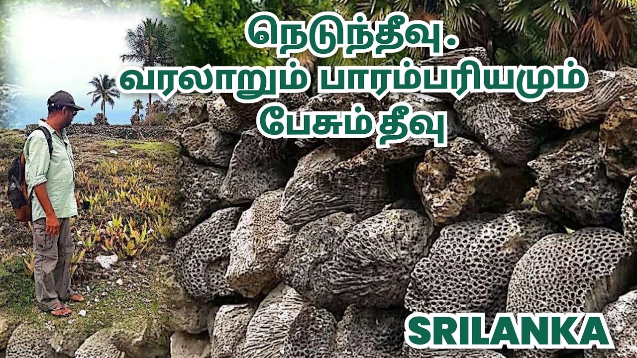 யாழ்ப்பாணத்தின் மறைந்த சொர்க்கம் – நெடுந்தீவு