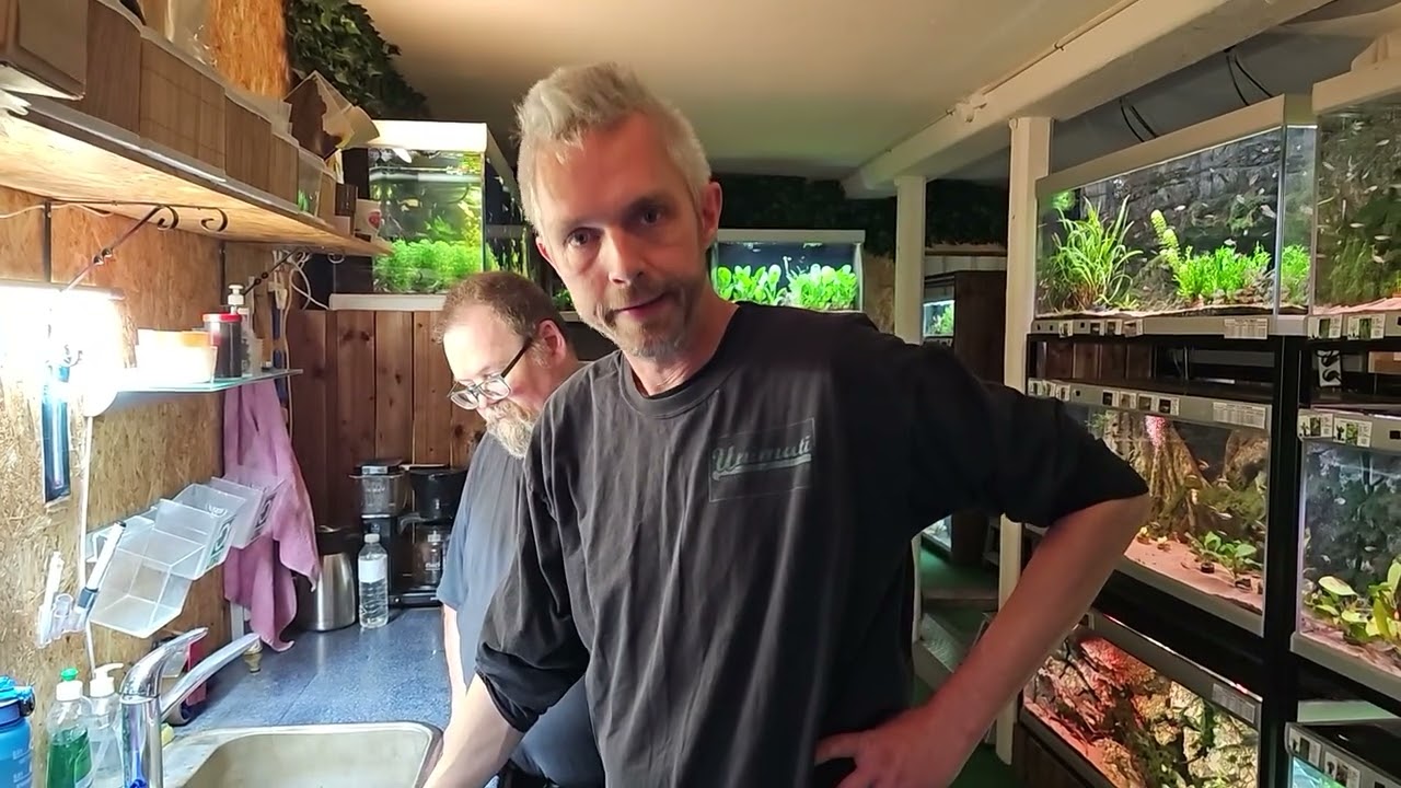 Fredagsfilm - Hvorfor dør mine nye planter?