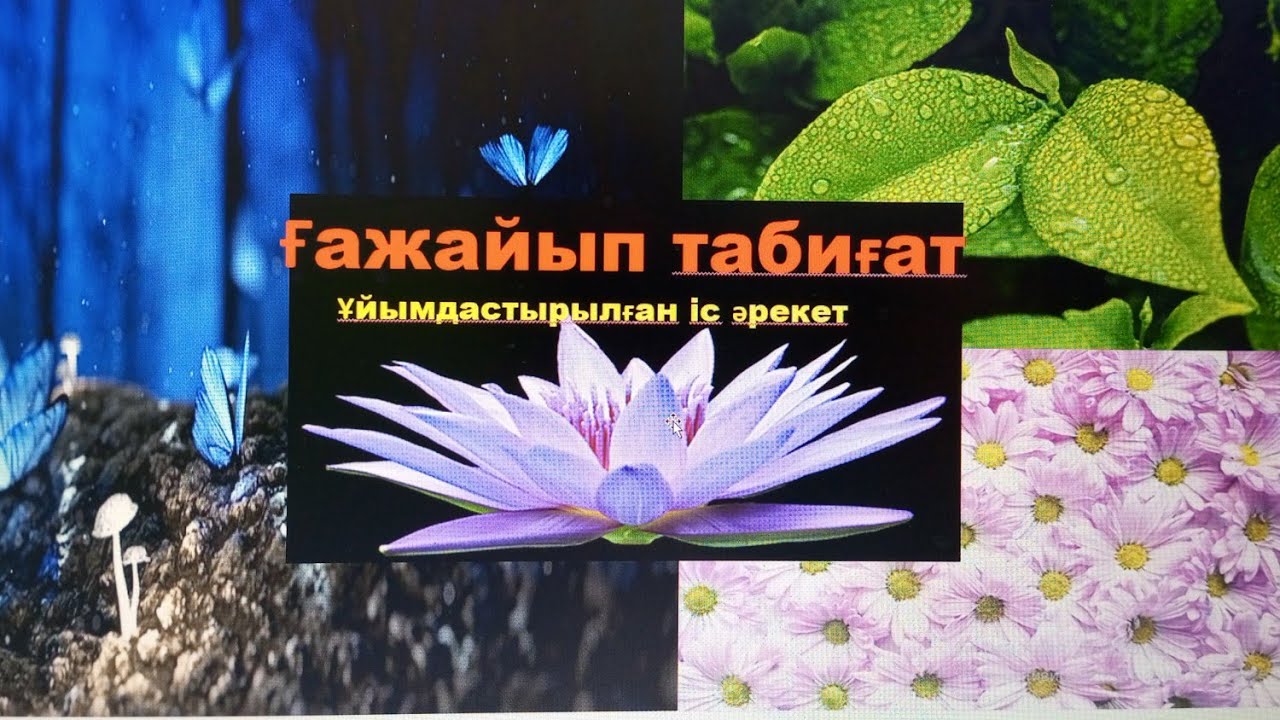 Ғажайып табиғат.                                   