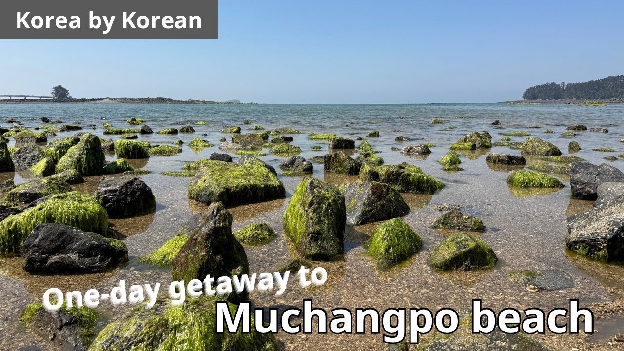 Chungcheongdo | Day trip to Muchangpo beach🏖️(Deacheon,Boryeong)