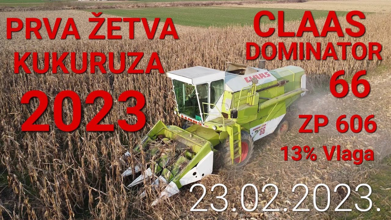 Prva Zetva Kukuruza 23.02 2023. CLAAS DOMINATOR 66 Corn Harvest
