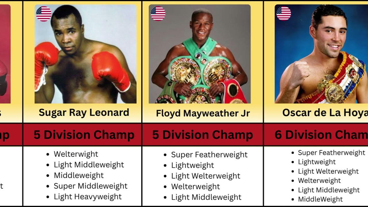 Every 4 Division Champion in Boxing (2025)