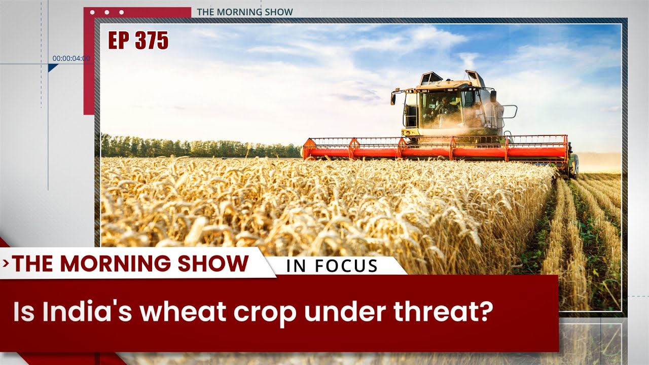 TMS Ep375: Wheat crop, Air India, rice exporters&rsquo; shares, political symbols