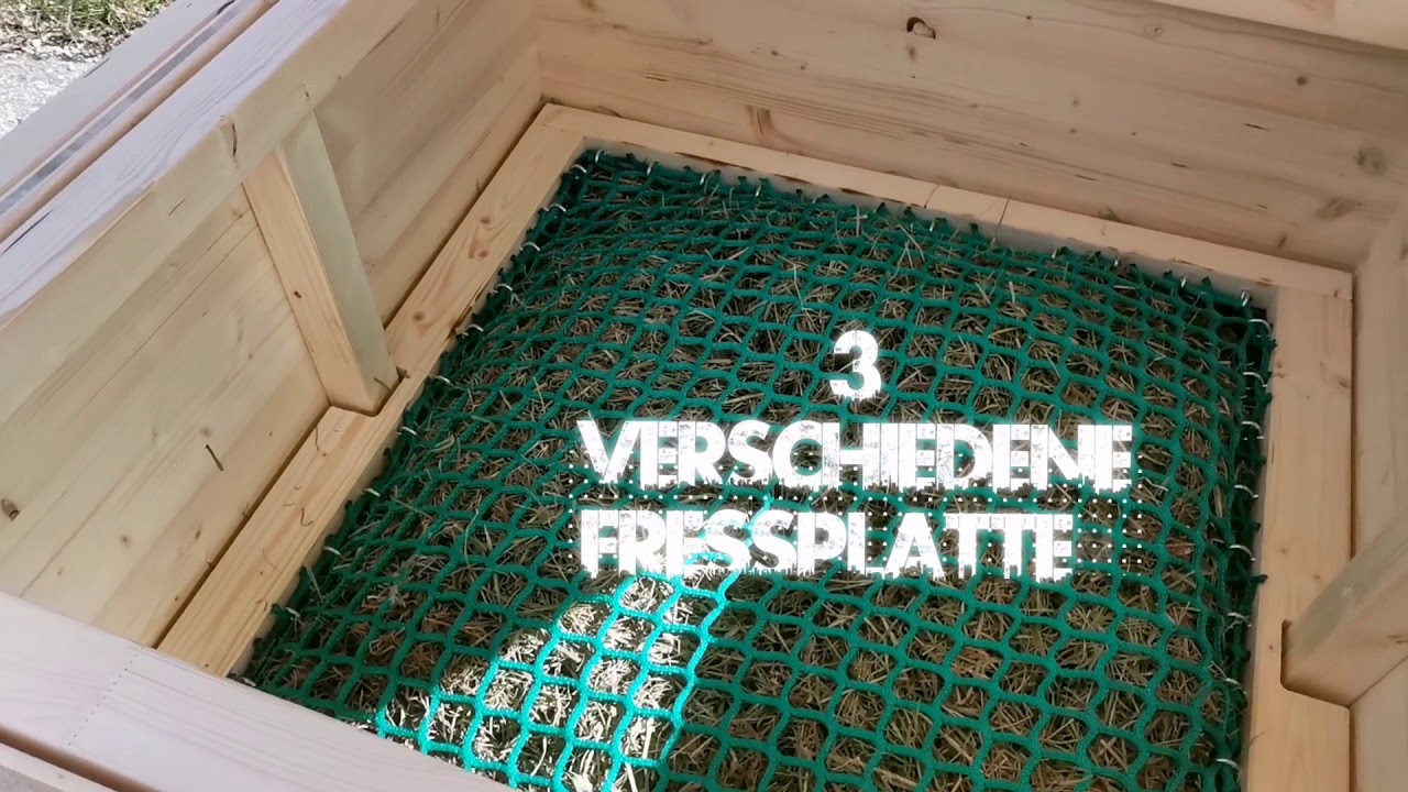 Original HORSEFEED BOX FULL TIME CONTROLLED QUATTRO FODDER & ROOF