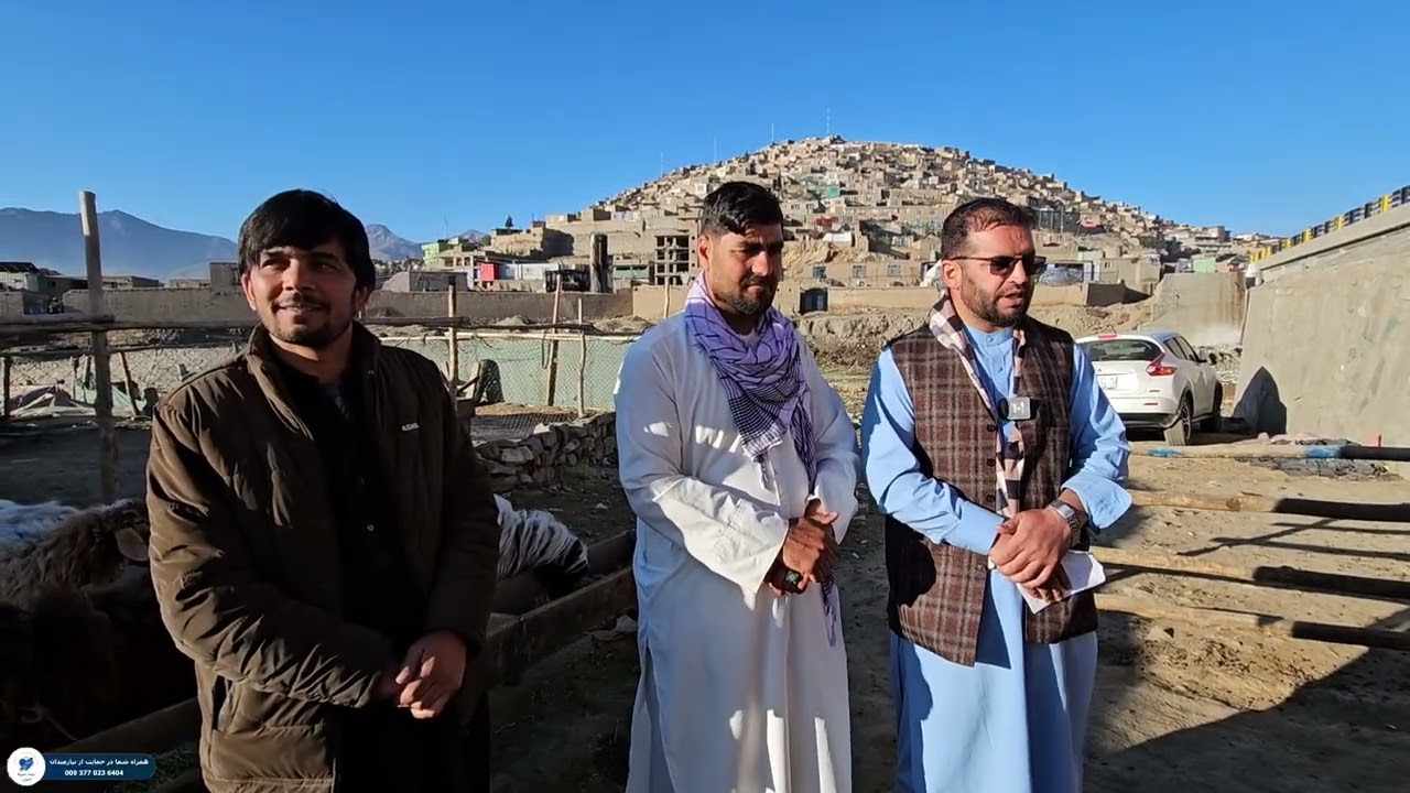 توزيع گوشت گوسفند و نان خشک برای هموطنان ما 