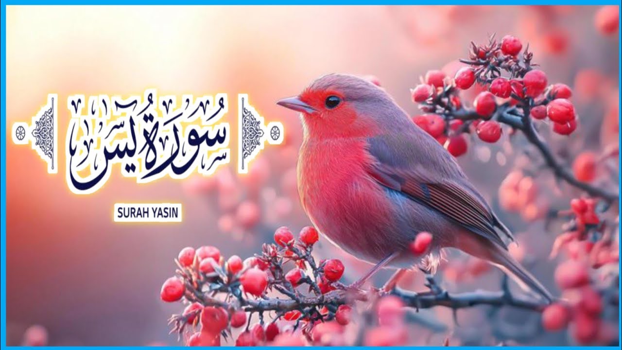 Surah Yasin Full by Abdul Rahman Al Sudais | Beautiful Heart Touching Tilawat HD |