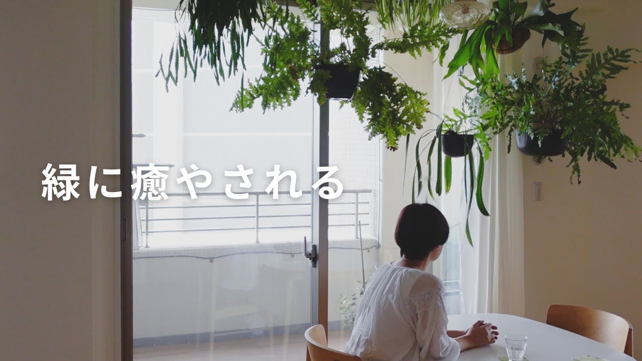 我が家の観葉植物 │ 植物の種類、ハンギングプランツの吊り方、水やり