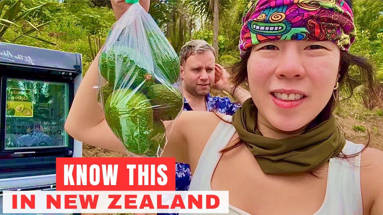 What to know and where to go New Zealand | Cathedral Cove Walkway, Te Puna Deli Manuka Honey 🇳🇿