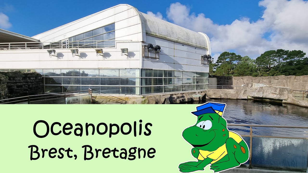 Oceanopolis, nazomer 2024