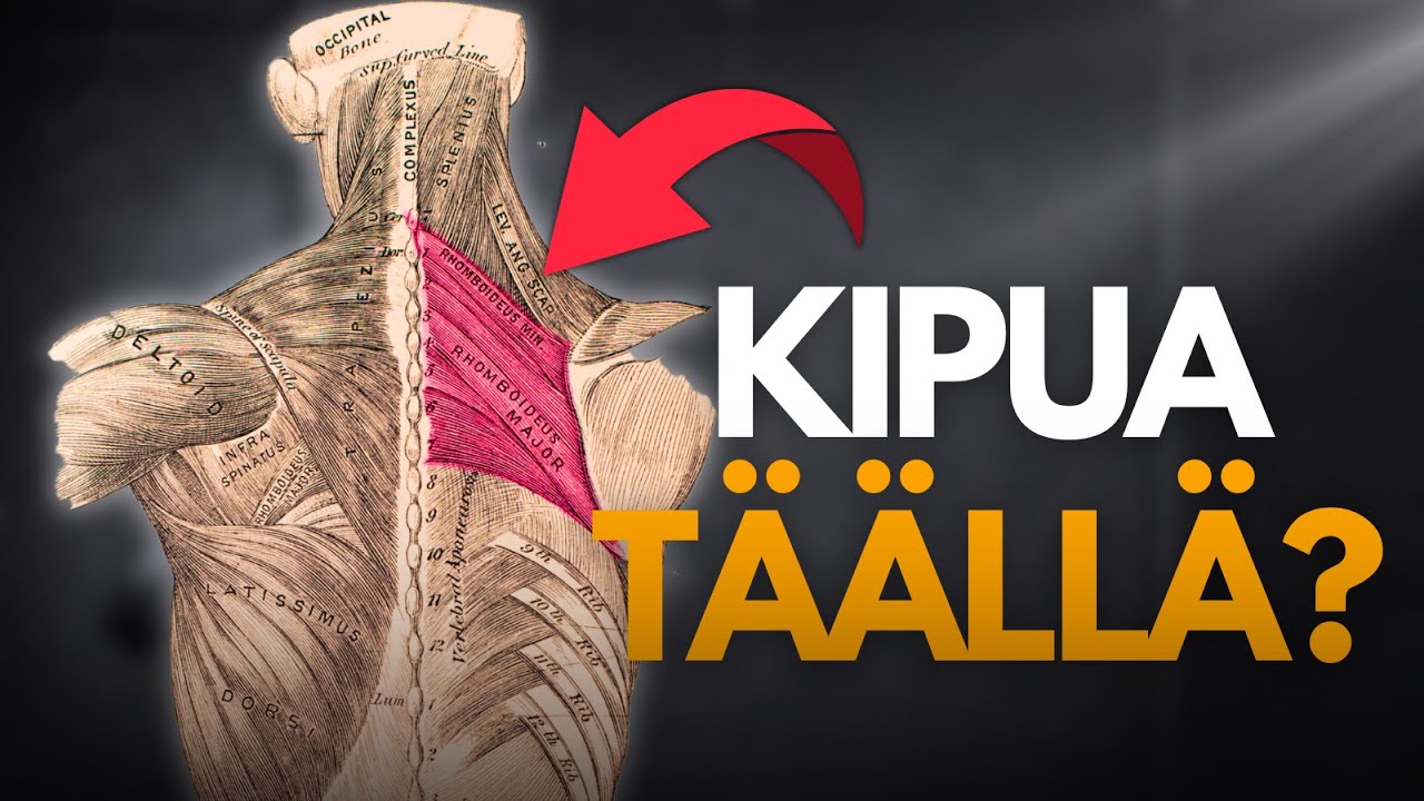 Poista KIPU lapojen VÄLISTÄ ❗️ I Kehokompassi