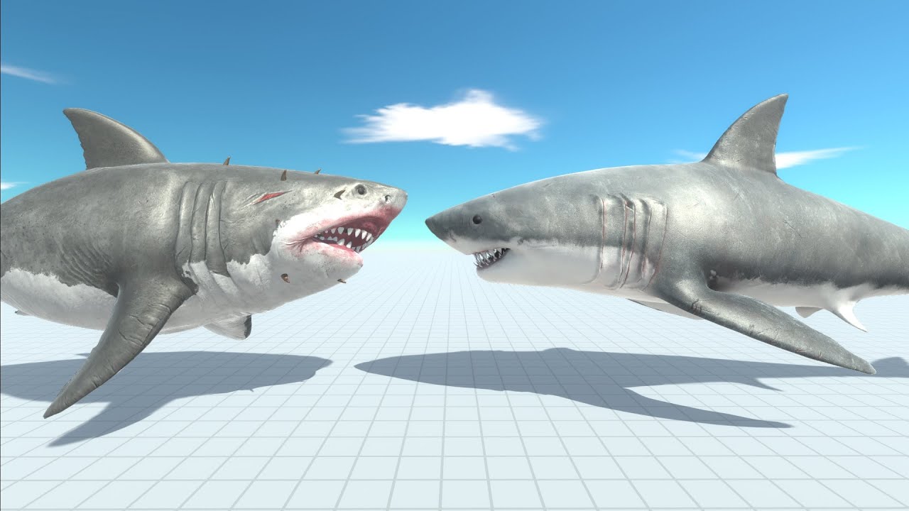 Mutant Megalodon vs Giant Shark🐬🦈- Animal Revolt Battle Simulator