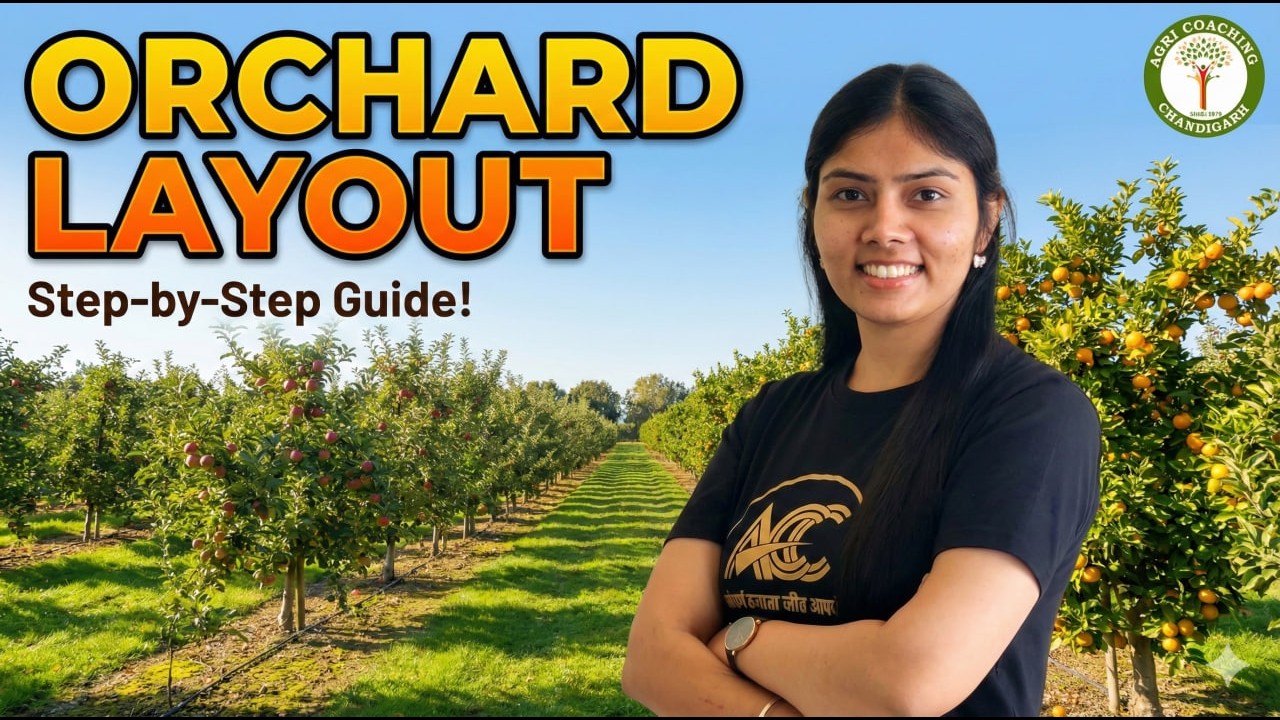 Orchard Layout  | English Medium |  Concept to Selection – Day 3 | (Clear in 15  Min)