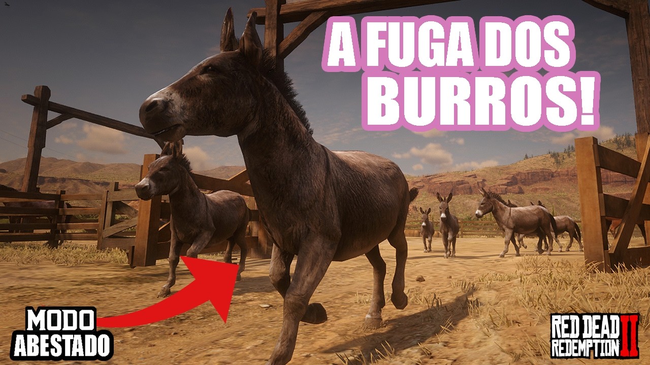 UM BURRO TENTANDO SALVAR OS BURROS ! red dead redemption 2