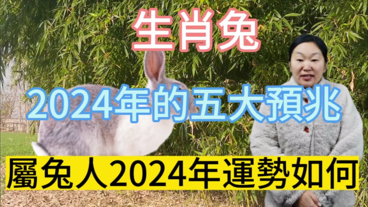 生肖兔！2024年的五大預兆！屬兔人2024年運勢如何？屬相兔一定要看！不可不知！#生肖 #運勢 #風水 #佛教