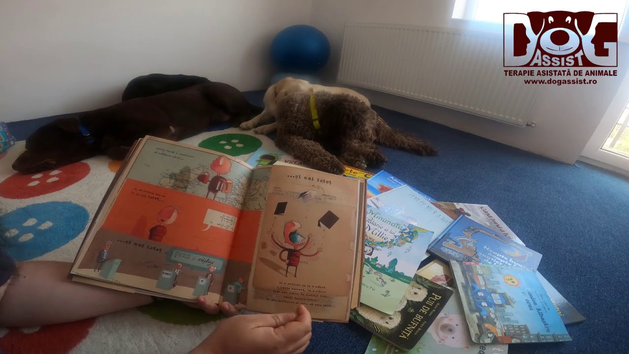 Incredibilul baietel mancator de carti - Dog Assist - Prietenii cartilor - Reading for dogs