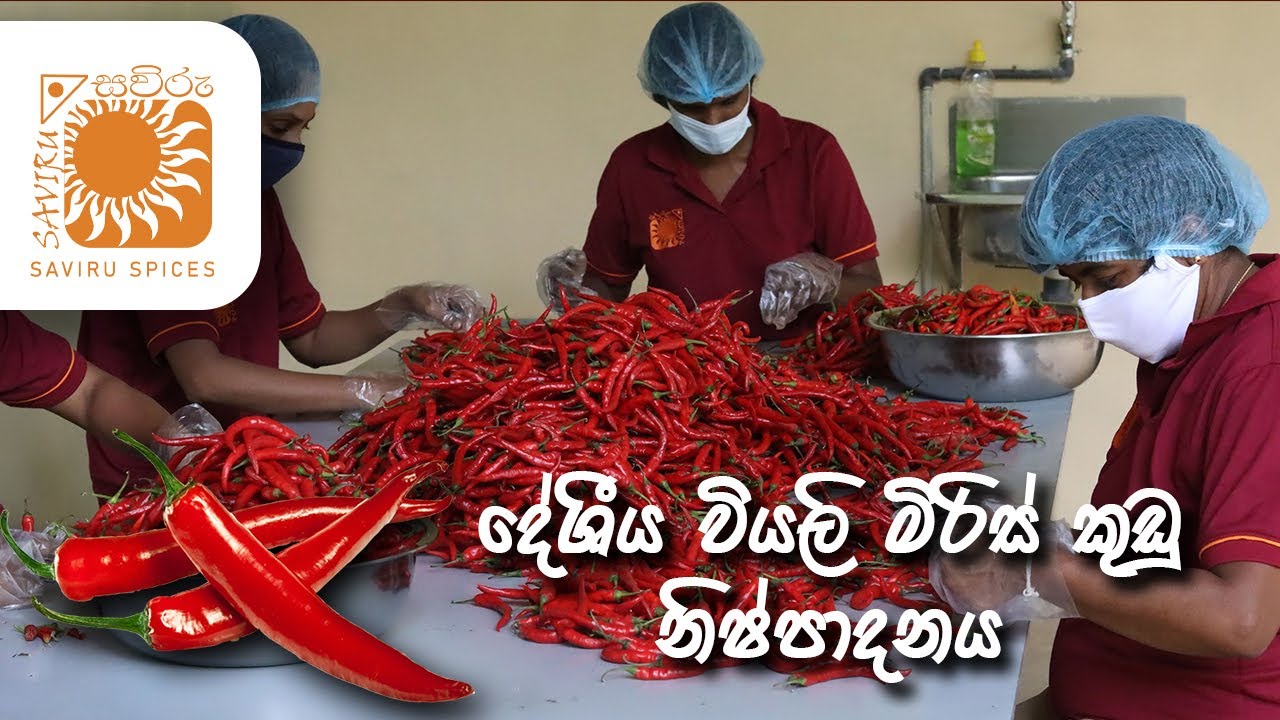 How is chili powder made in Sri Lanka? | Saviru Spices | Srilanka | Organic Spices