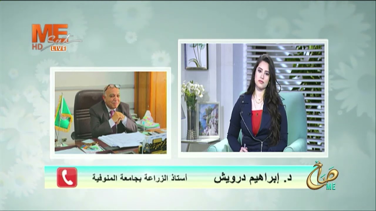 نجاح الحجر الزراعي المصري في فتح أسواق جديدة د. إبراهيم درويش يؤكد