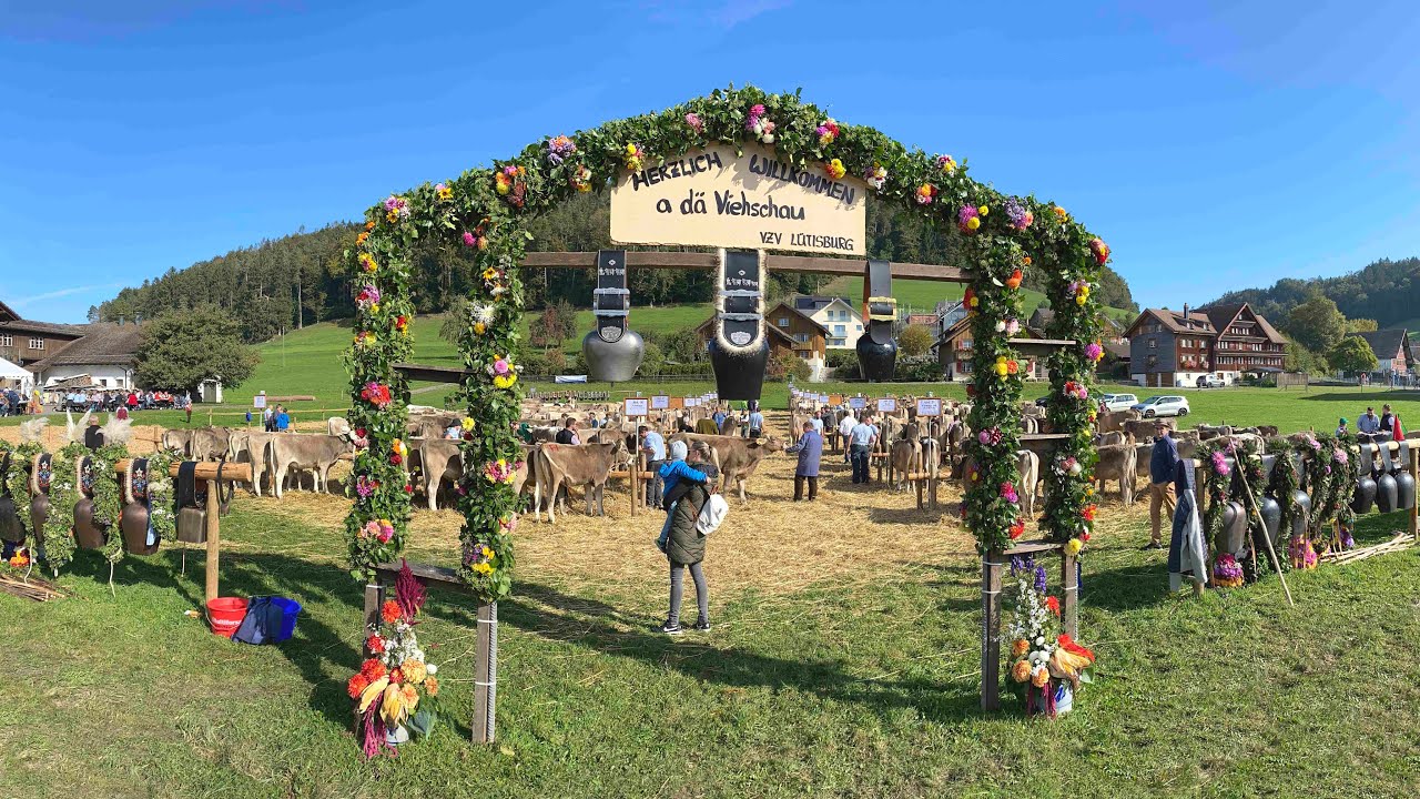 Viehschau Lütisburg – Tufertschwil im schönen Toggenburg – Sennisch nach alter Tradition.