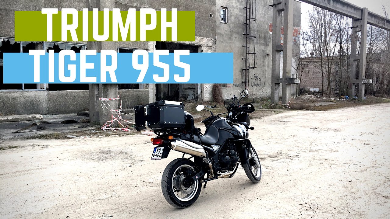 Triumph Tiger 955i // czy warto go kupić w 2020?