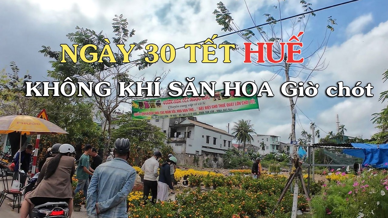 Huế ngày 30 không khí Tết Bà con Săn những chậu hoa xuân cuối cùng
