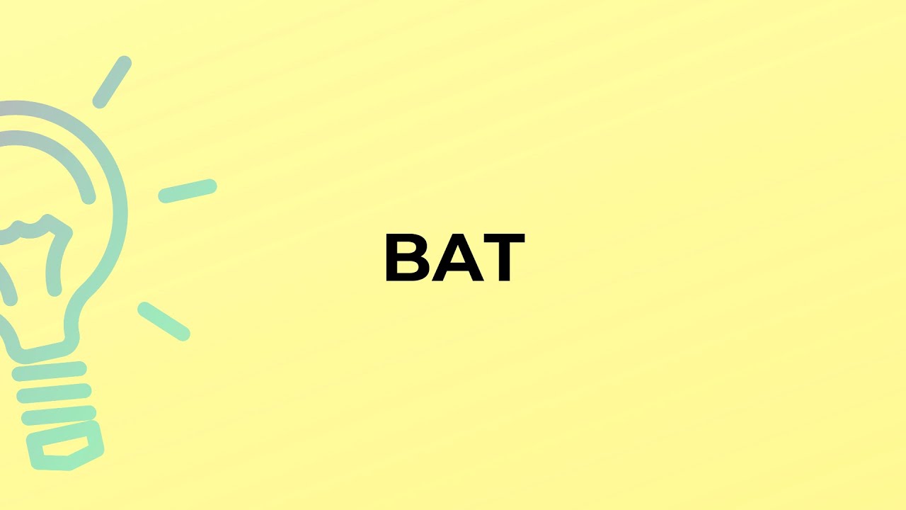 What is the meaning of the word BAT?