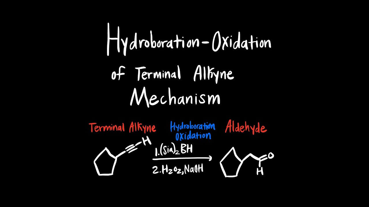Hydroboration Oxidation of Terminal Alkyne Mechanism