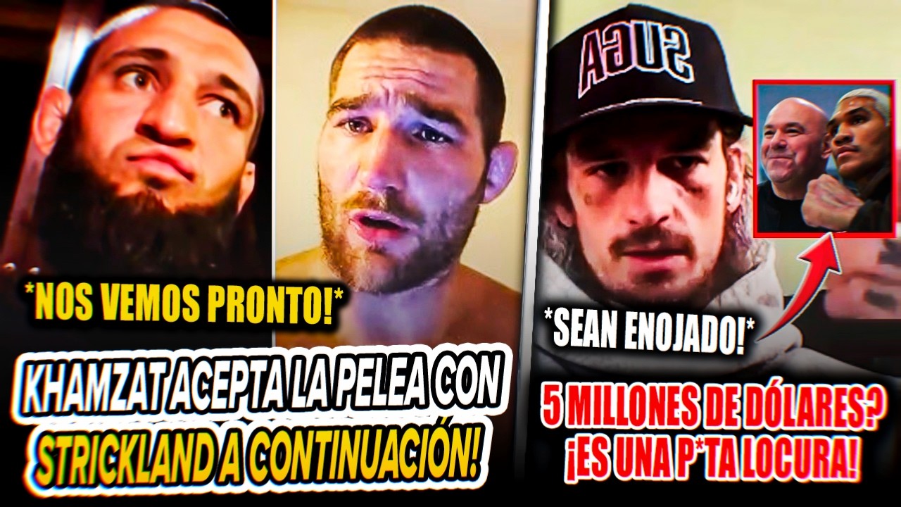 ¡Khamzat Chimaev ACEPTA pelear contra Strickland a continuación! ¡Imavov ARREMETE contra Strickland!