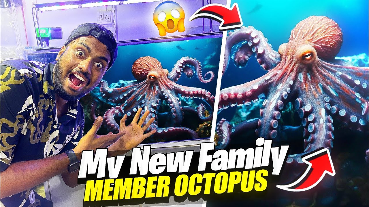 200000 Rs Marine Tank First Time In India Rare Octopus , Nimo Fish & Sea Cucumber 😱
