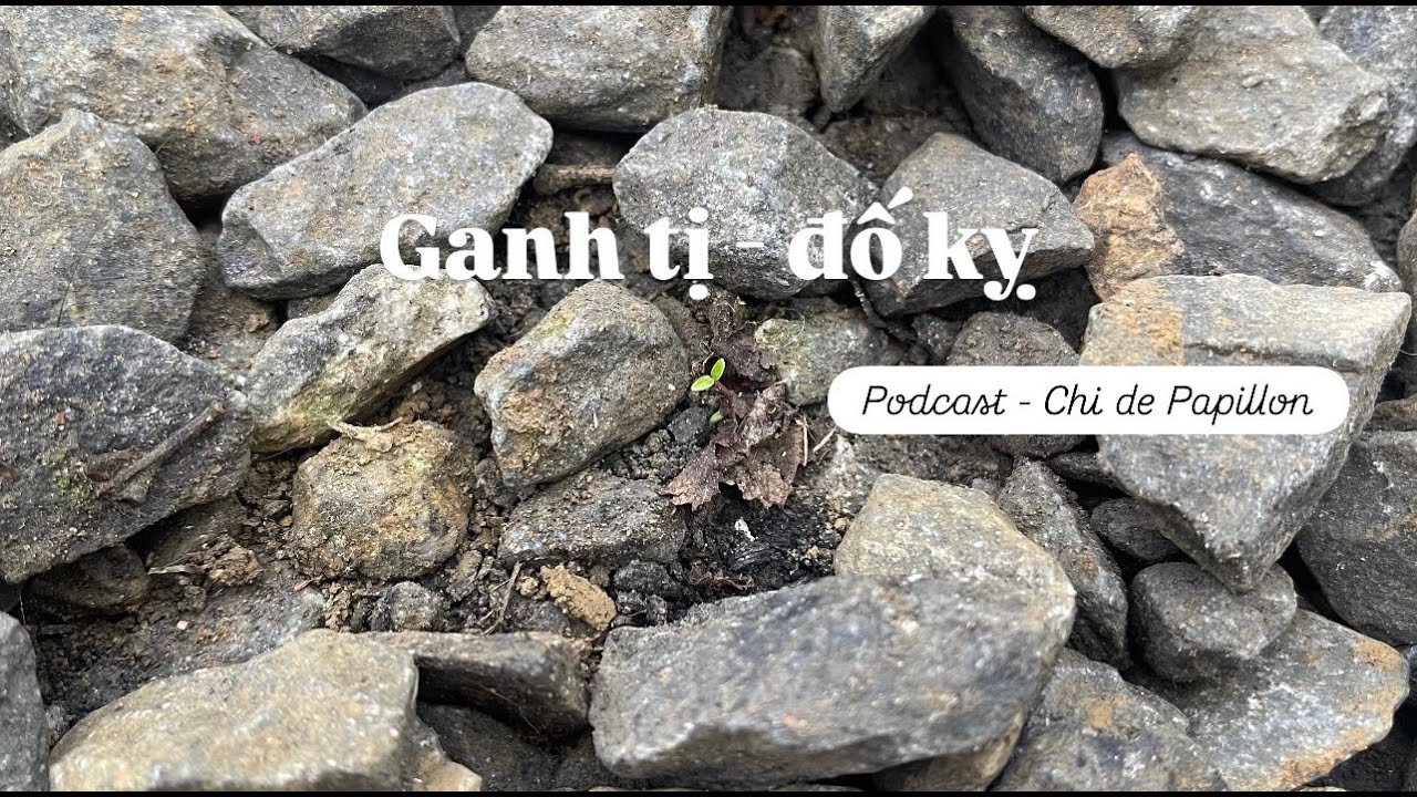Podcast - Ganh tị và đố kỵ - Chi de Papillon
