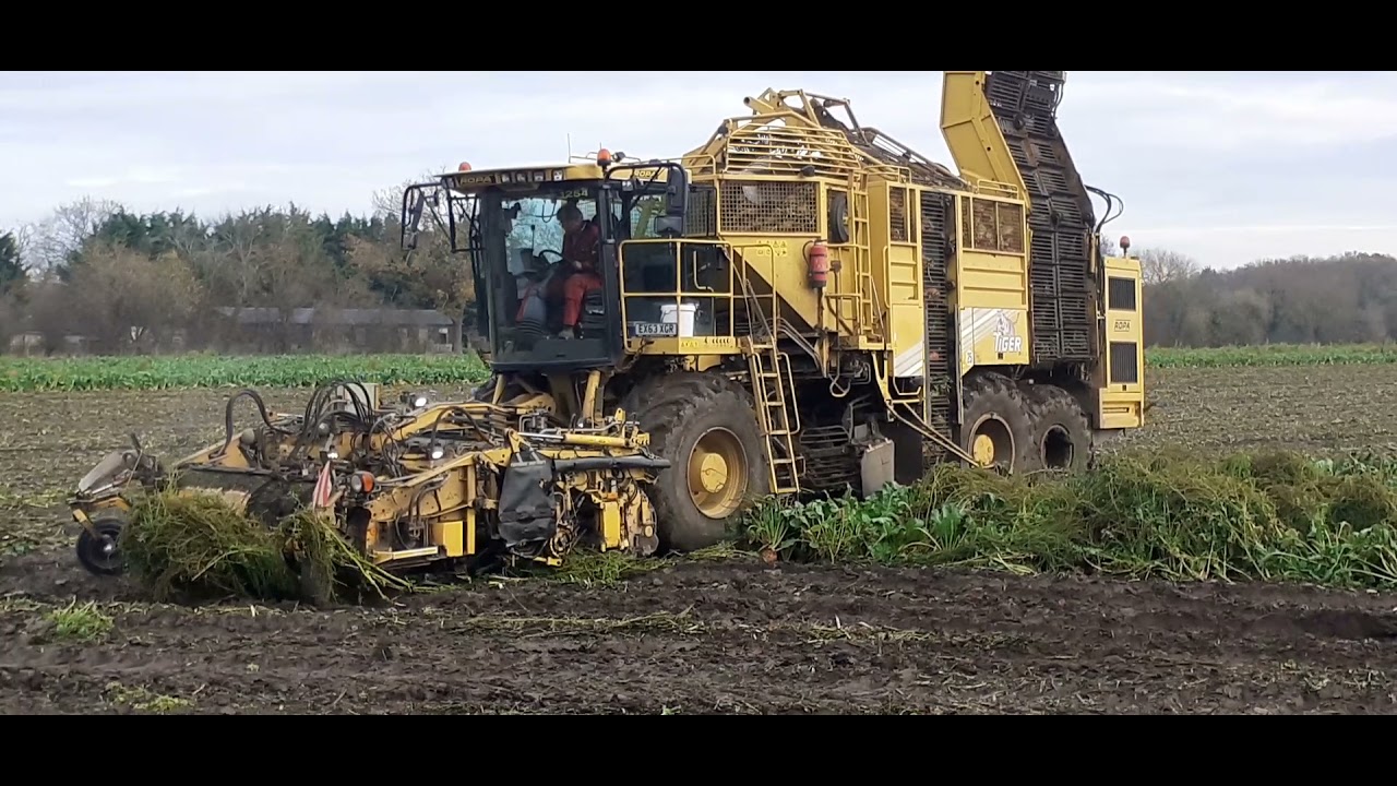 Farming In Norfolk