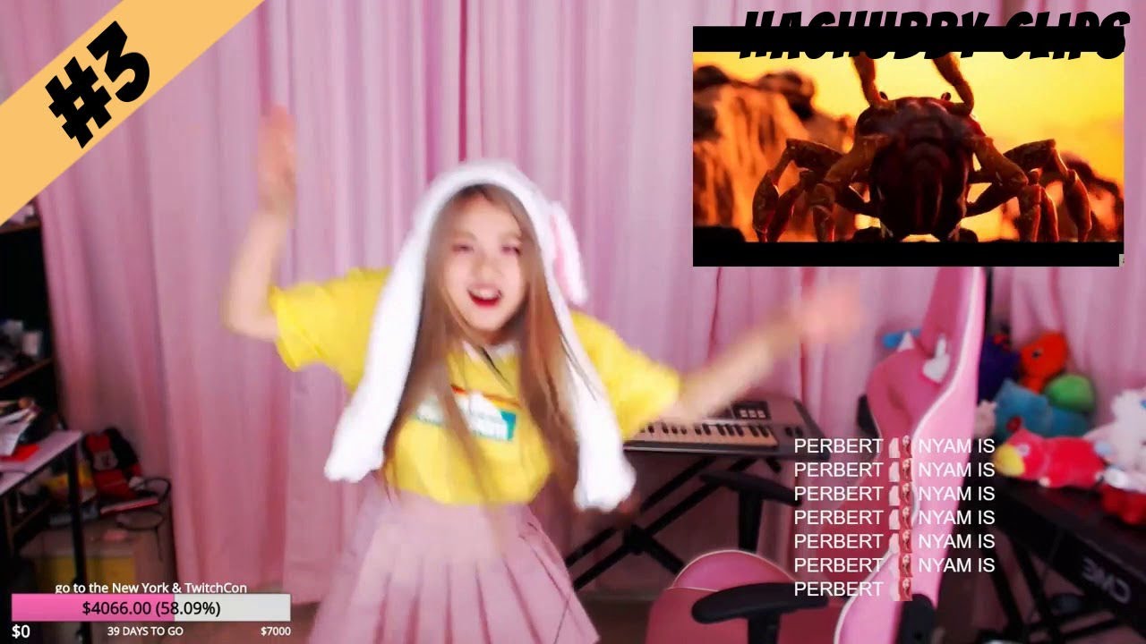 HAchubby Twitch Clips Compilation #3
