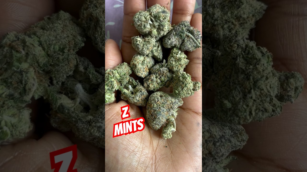 ZMints Strain Review