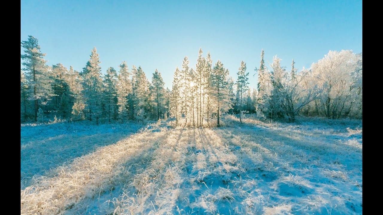 winter in mountains #relaxing #oddlysatisfying #music #happynewyear #entertainment #cgi #happiness