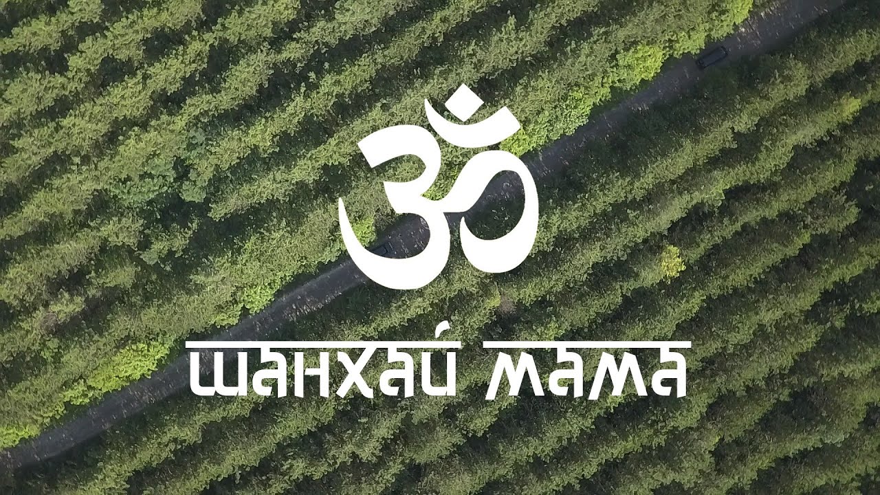 Petja Zarudniy - Шанхай Мама  (Acoustic 2020)