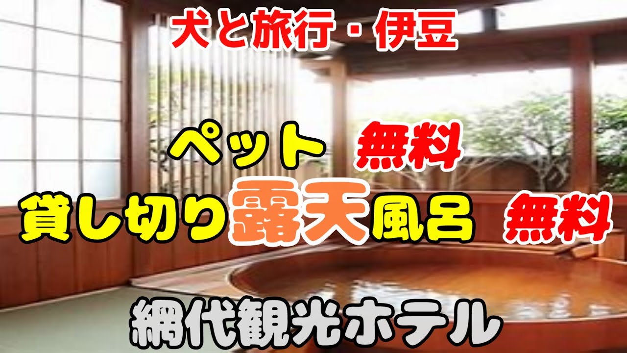[犬と旅行・伊豆]シャボテン公園・網代観光ホテル・熱海梅園・来宮神社・石田食堂・ジャックラッセルテリア