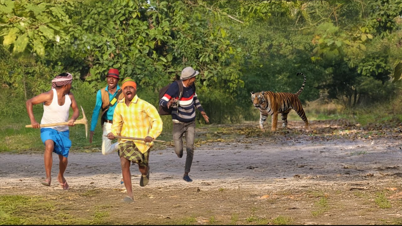 TIGER ATTACK MAN IN THE FOREST 🐯🌿 | FOREST TIGER ATTACK | TIGER ATTACK