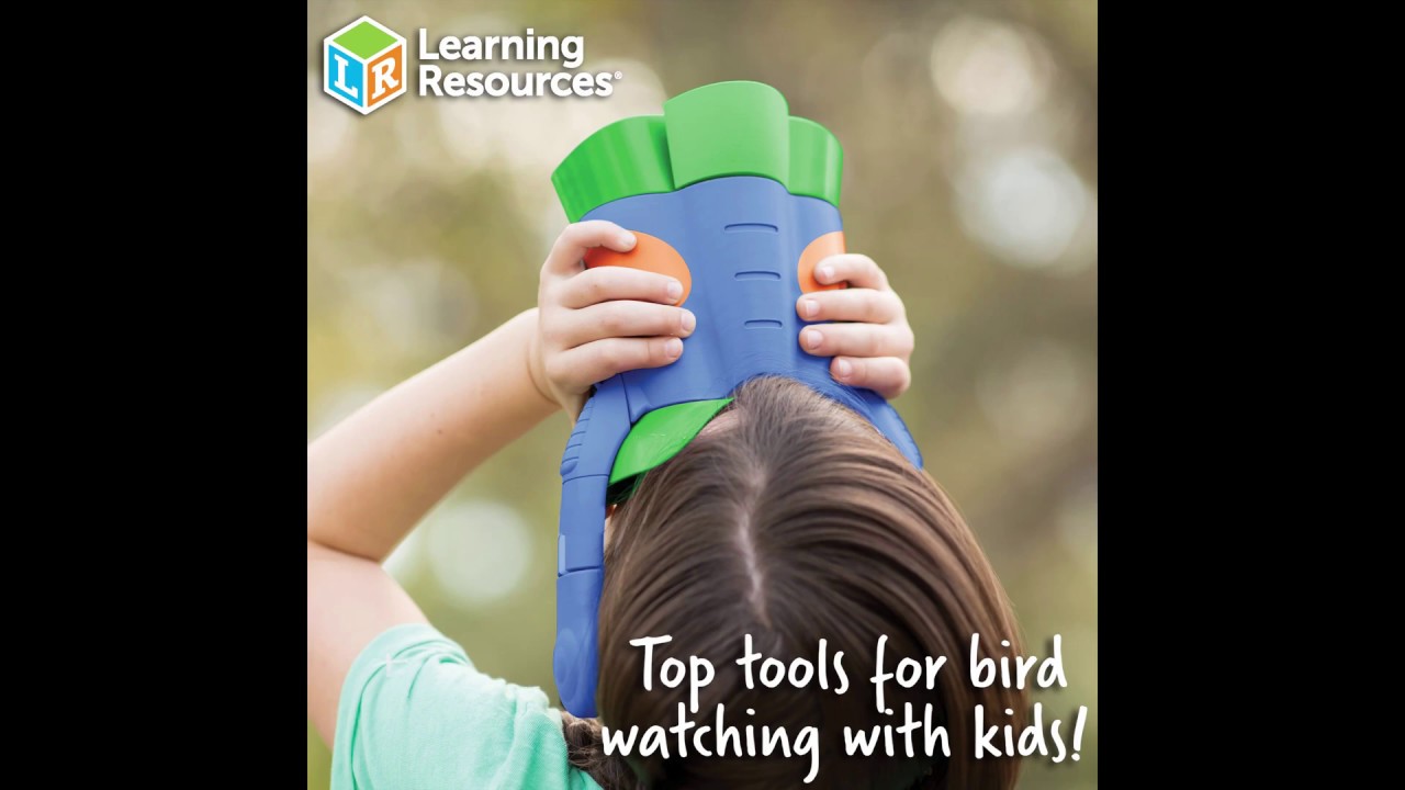 Top Tools for Bird Watching with Kids!